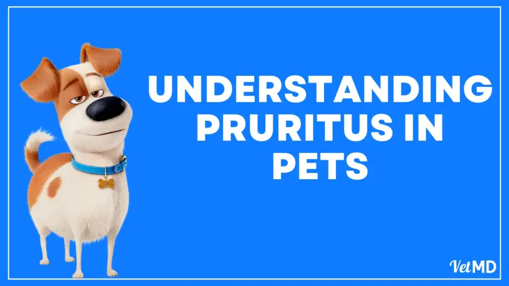 Pruritus-in-dogs-and-cats-Understanding-the-Cause-Signs-and-Treatment